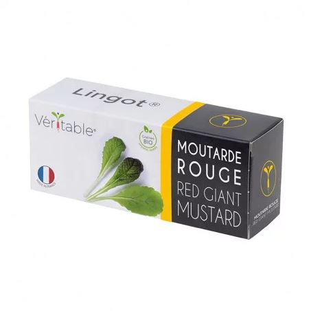 VERITABLE Lingot® Red Giant Mustard Organic - Гигантска червена горчица